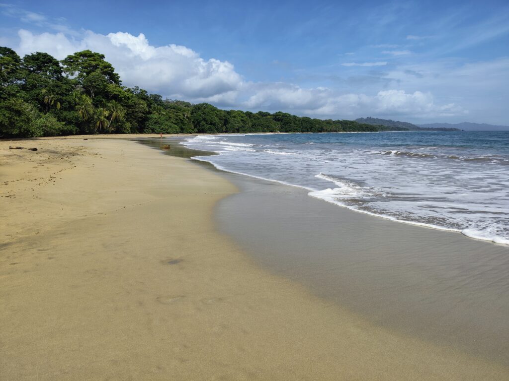 Punta Uva es una playa de arena dorada en Limón, en el Caribe de Costa Rica.