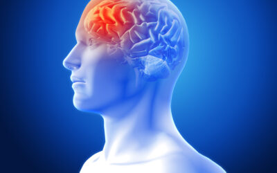 El aprendizaje es posible y necesario en personas mayores para mantener sano el cerebro