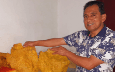 Las micro están en manos de los ‘macro’, Jairo Escobar es ejemplo de ello